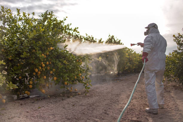 Best Insect Control  in East Washington, PA