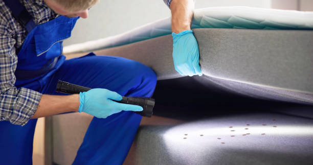 Best Residential Pest Control  in East Washington, PA