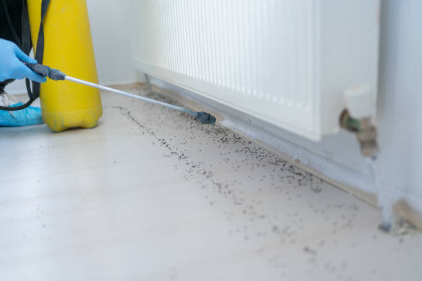 Best Cockroach Control Services  in East Washington, PA