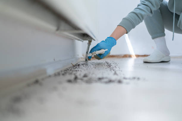 Best Pest Inspection Near Me  in East Washington, PA